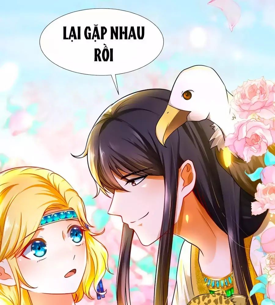 Sủng Hậu Của Vương Chap 4 - Next Chap 5