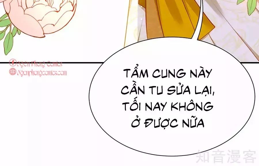 Sủng Hậu Của Vương Chap 7 - Next Chap 8