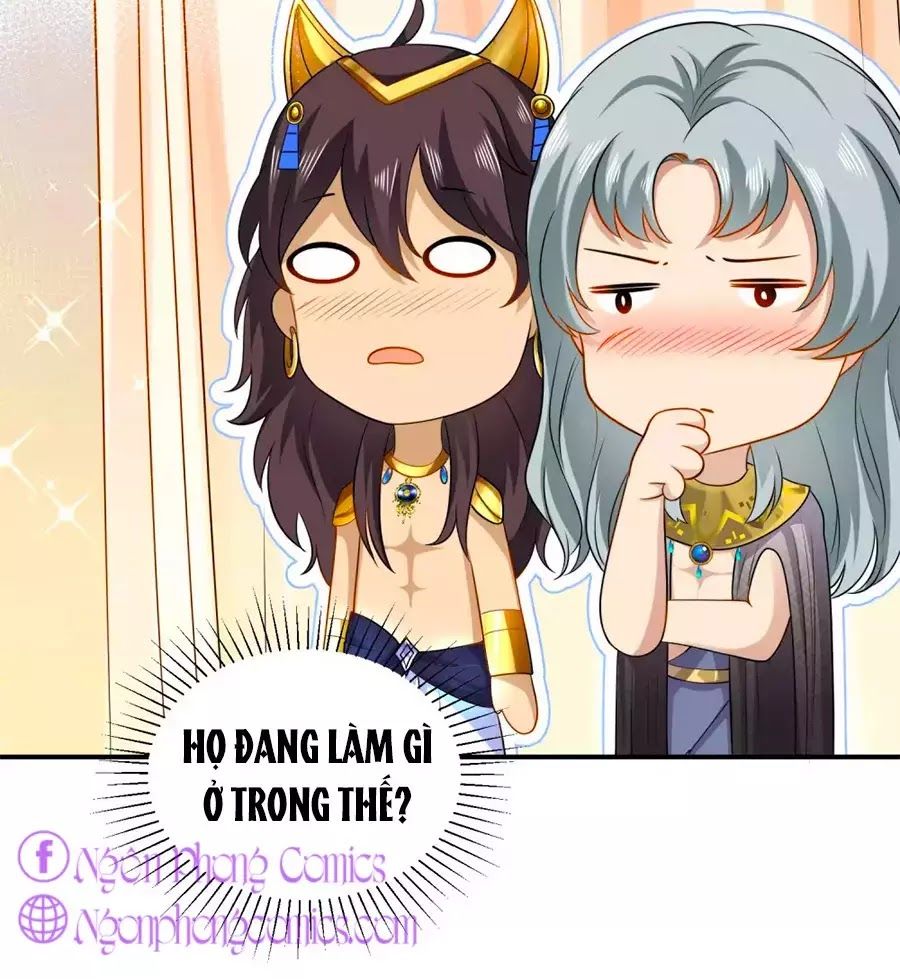 Sủng Hậu Của Vương Chap 9 - Next Chap 10