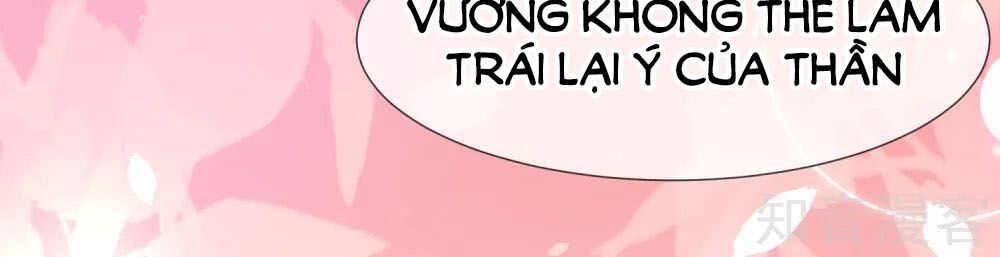Sủng Hậu Của Vương Chap 41 - Next Chap 42