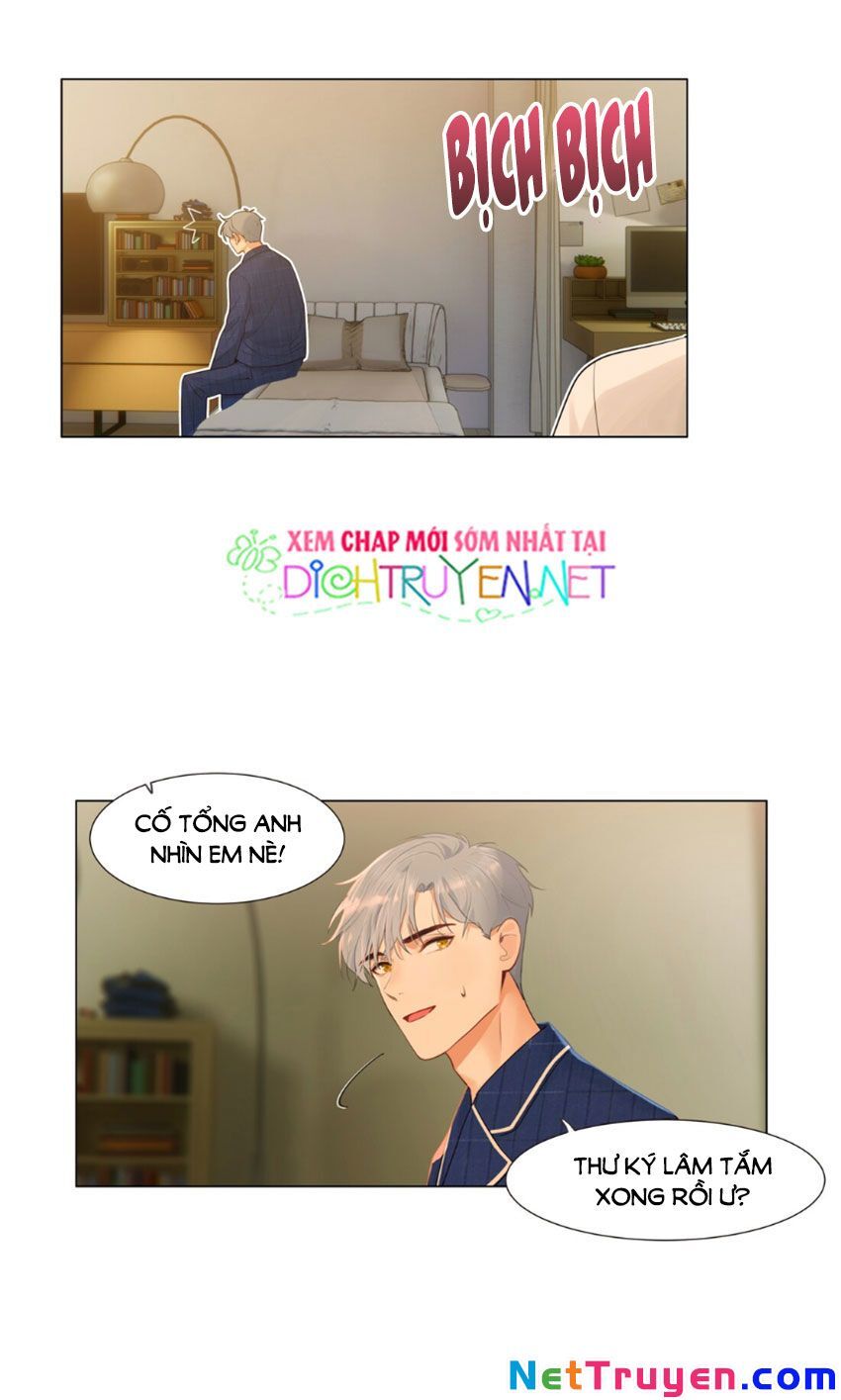 Đâu Phải Tại Tui Muốn Giả Gái Chap 31 - Next Chap 32