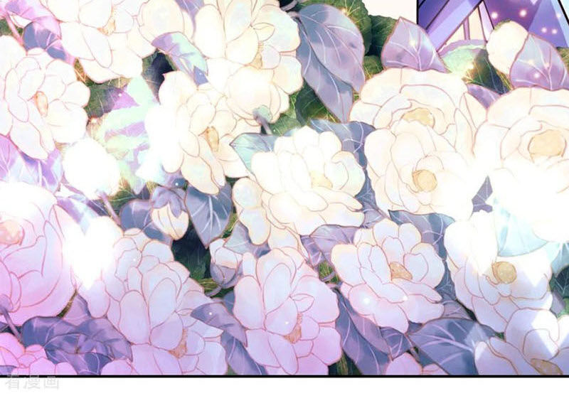 Bổn Tế Tu Chính Là Tiện Đạo Chap 41 - Next Chap 42