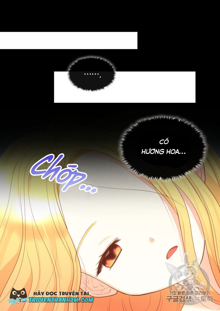 Sinh Đôi Xuyên Không Chap 22 - Next Chap 23