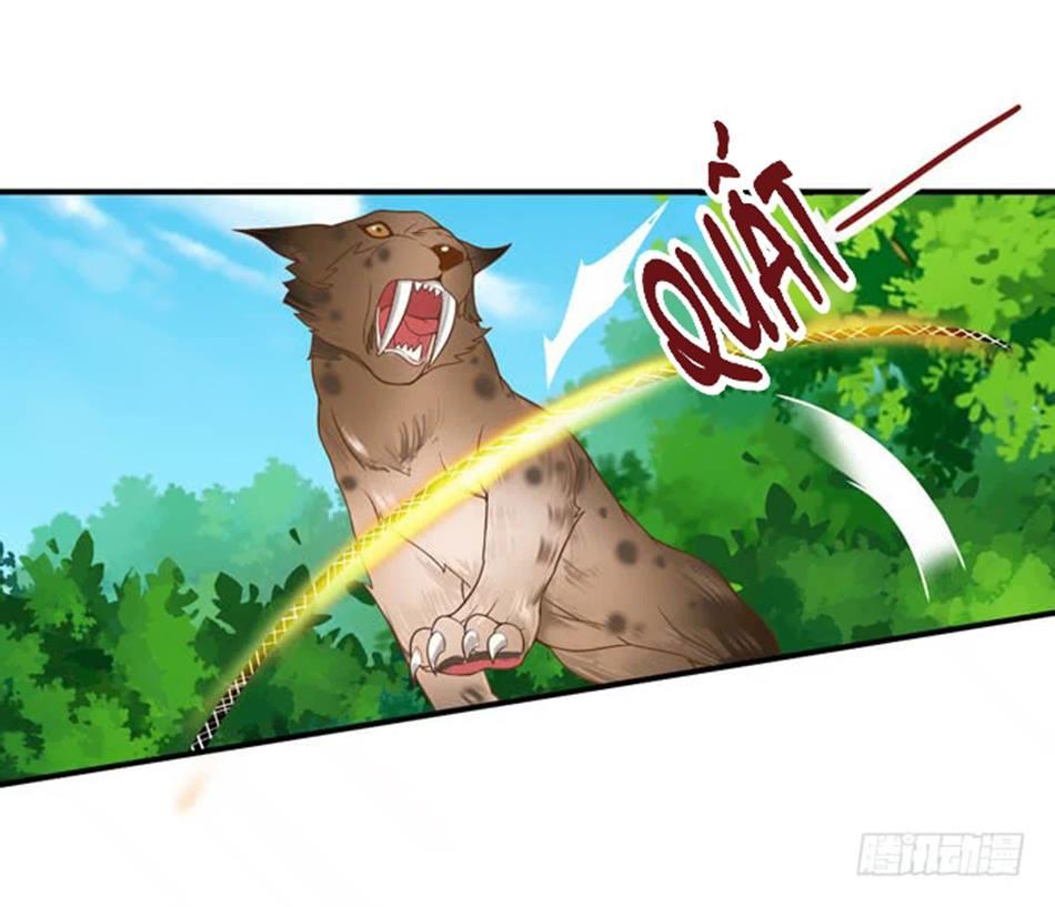 TUYỆT SẮC QUYẾN RŨ: QUỶ Y CHÍ TÔN Chap 6 - Next Chap 7