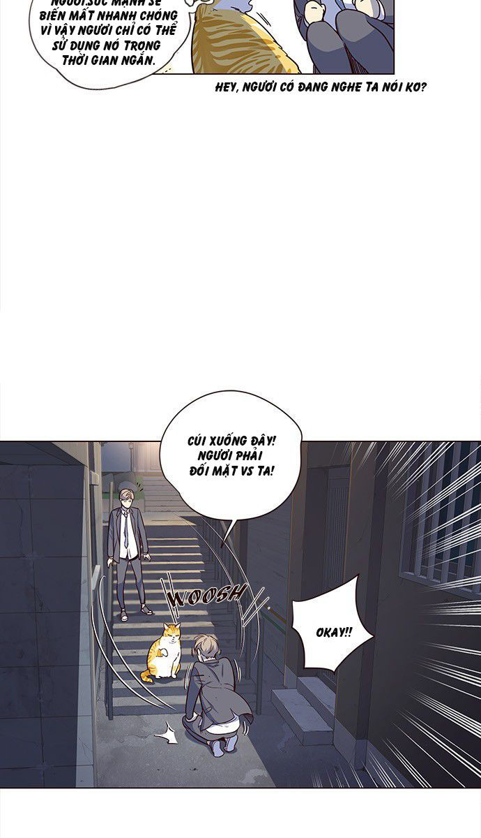 Hóa Thân Thành Mèo Chap 3 - Next Chap 4