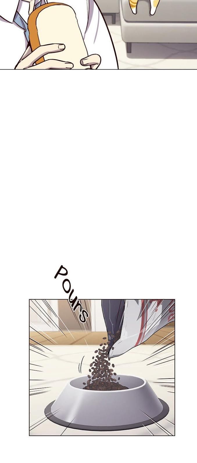 Hóa Thân Thành Mèo Chap 4 - Next Chap 5