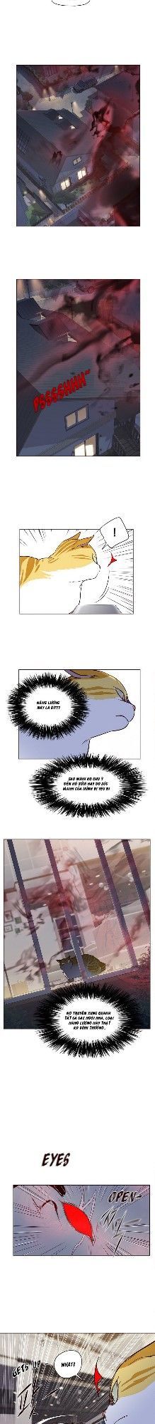 Hóa Thân Thành Mèo Chap 4 - Next Chap 5