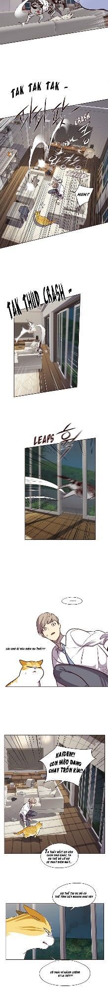 Hóa Thân Thành Mèo Chap 4 - Next Chap 5