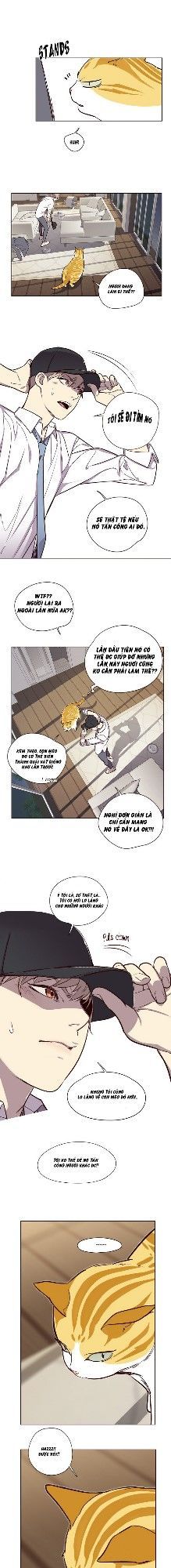 Hóa Thân Thành Mèo Chap 4 - Next Chap 5