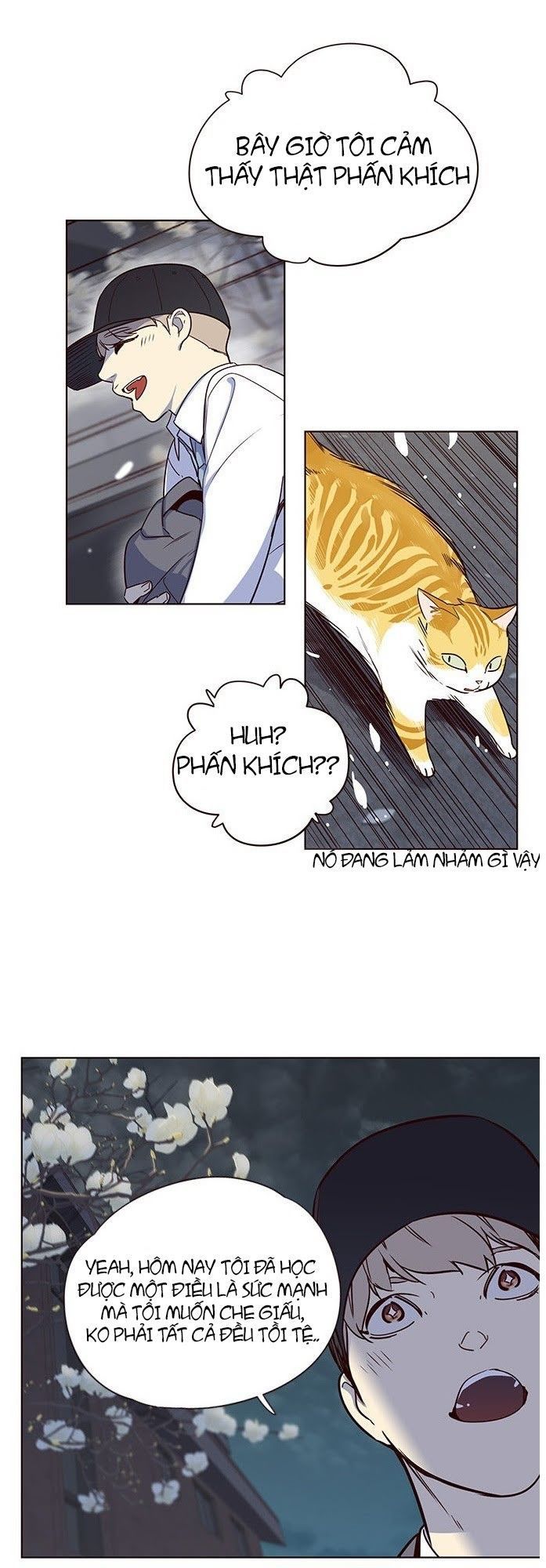 Hóa Thân Thành Mèo Chap 5 - Next Chap 6