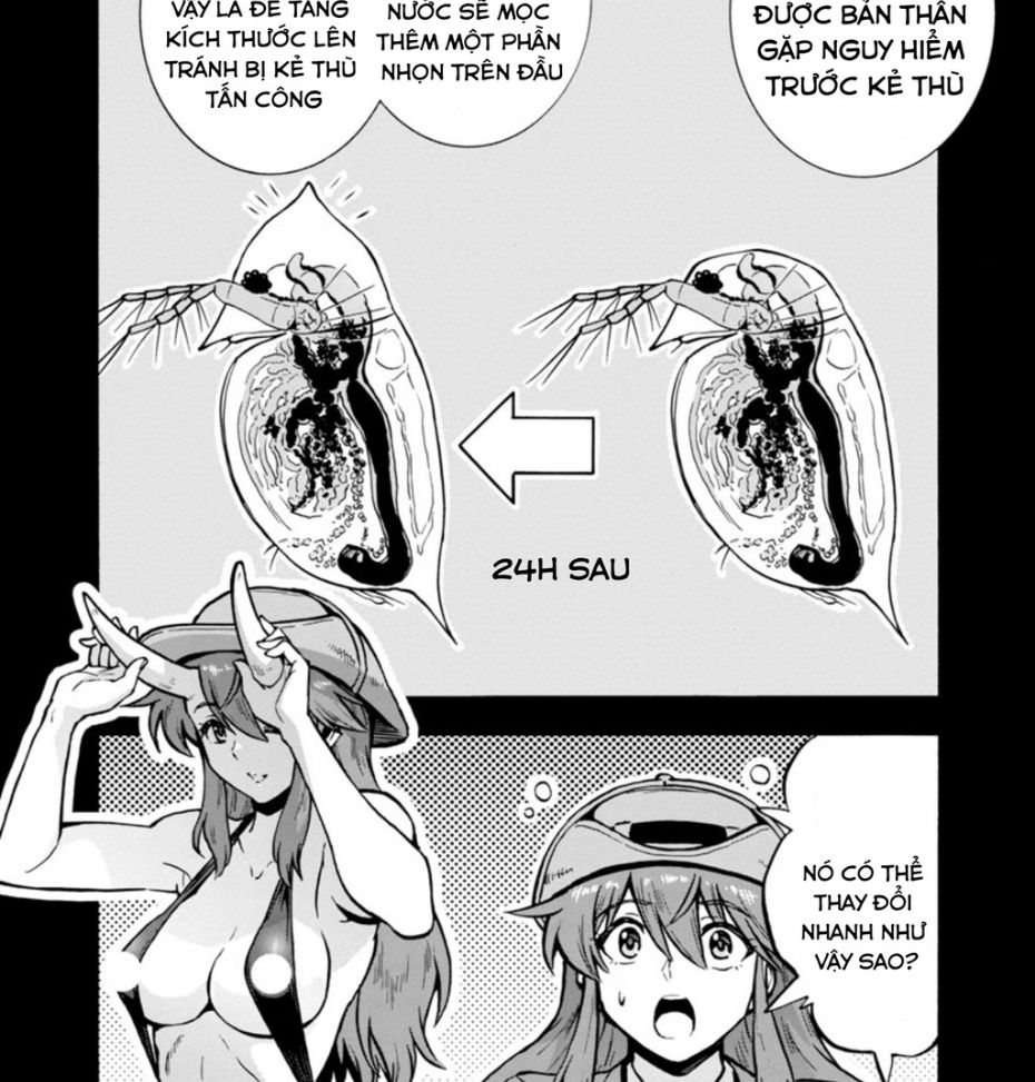 Siêu Đảo Côn Trùng Chap 33 - Next Chap 34