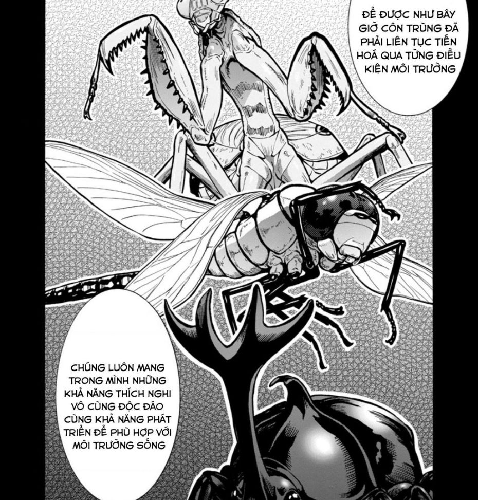 Siêu Đảo Côn Trùng Chap 33 - Next Chap 34