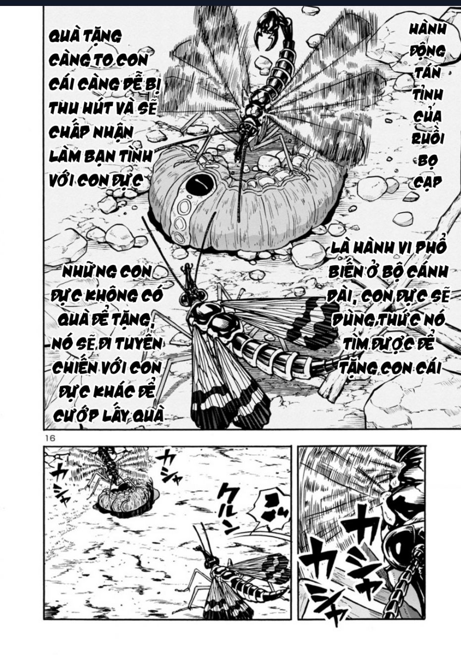 Siêu Đảo Côn Trùng Chap 37 - Next Chap 38
