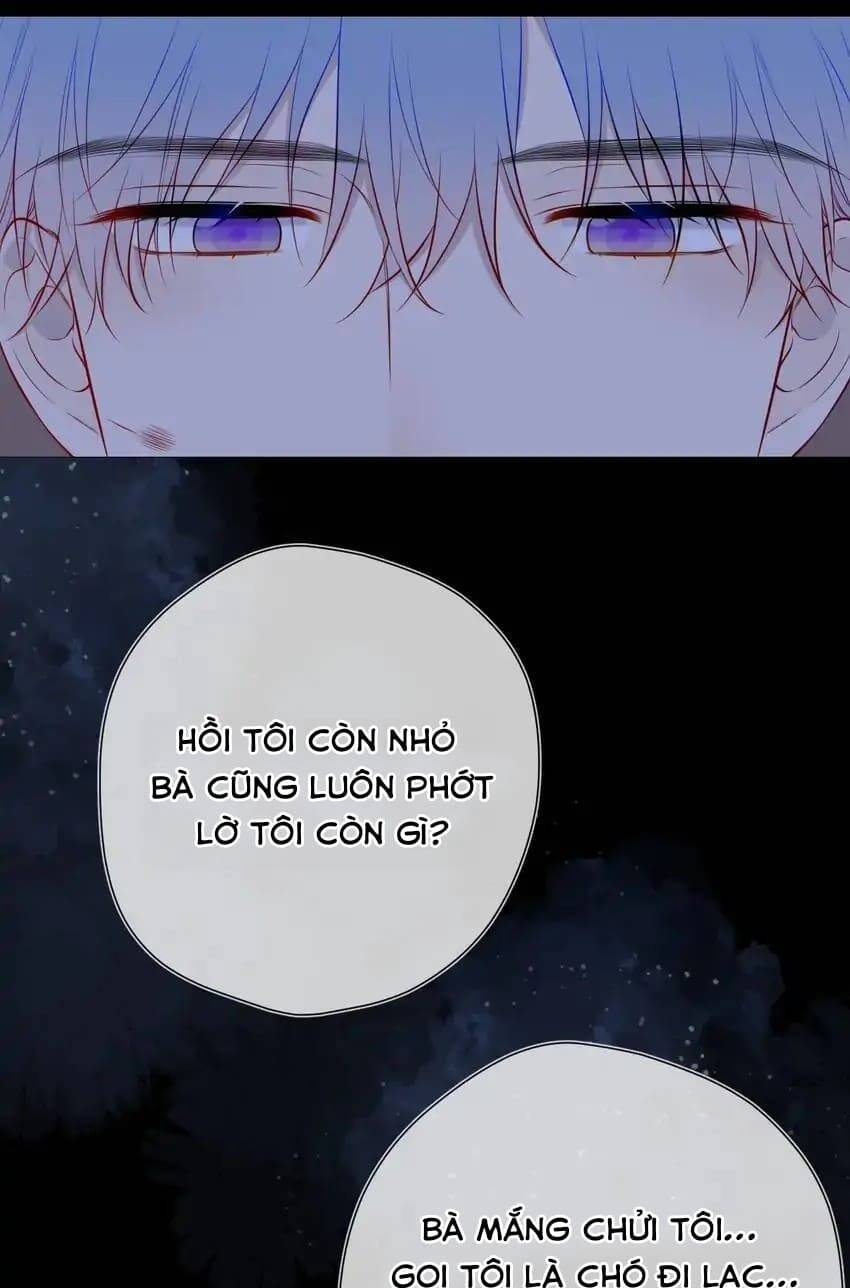 Ngôi Sao Cho Tôi Chap 145 - Next Chap 146