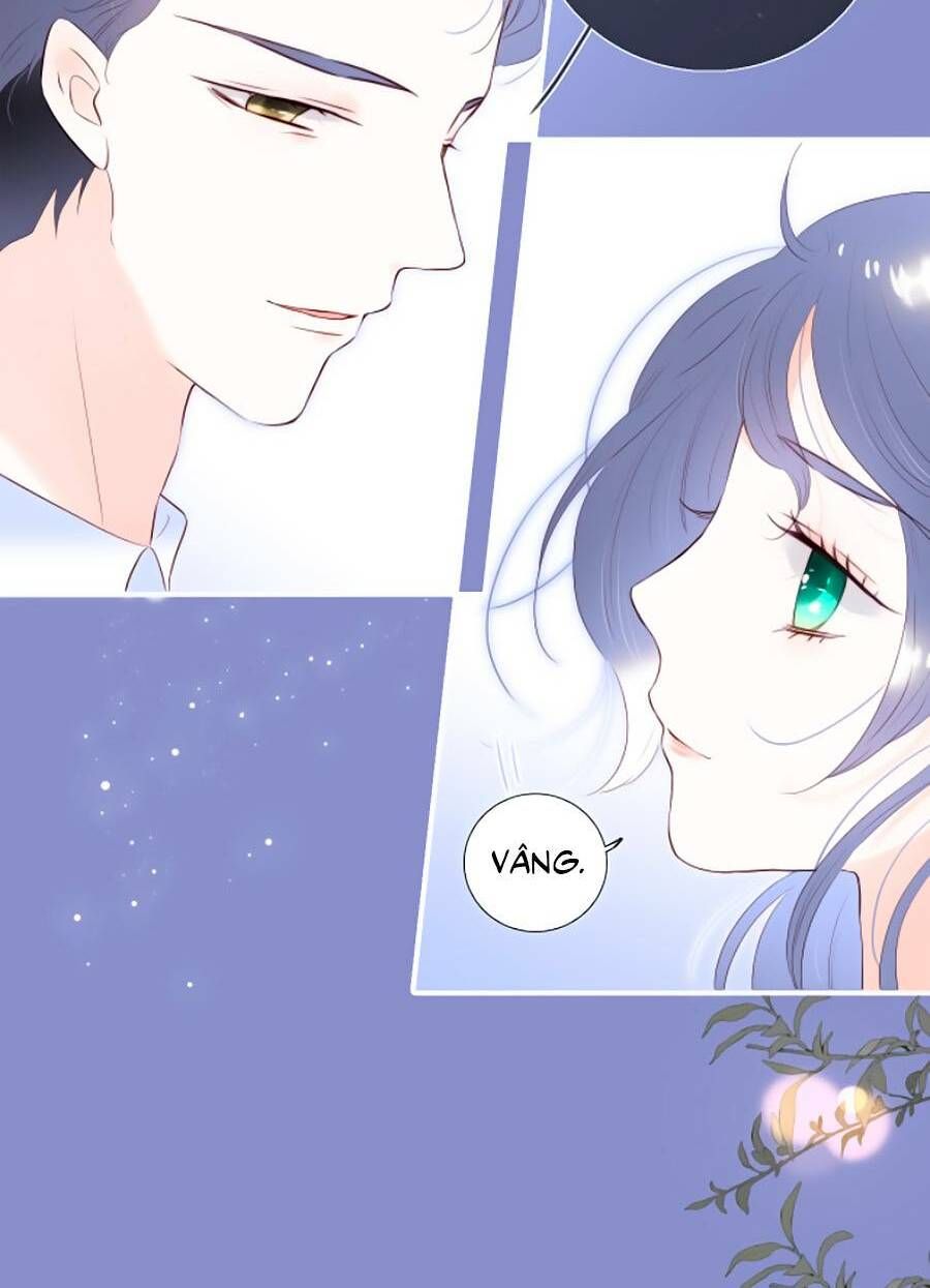 Hoa Bỏ Chạy Với Nhím Rồi Chap 84 - Next Chap 85