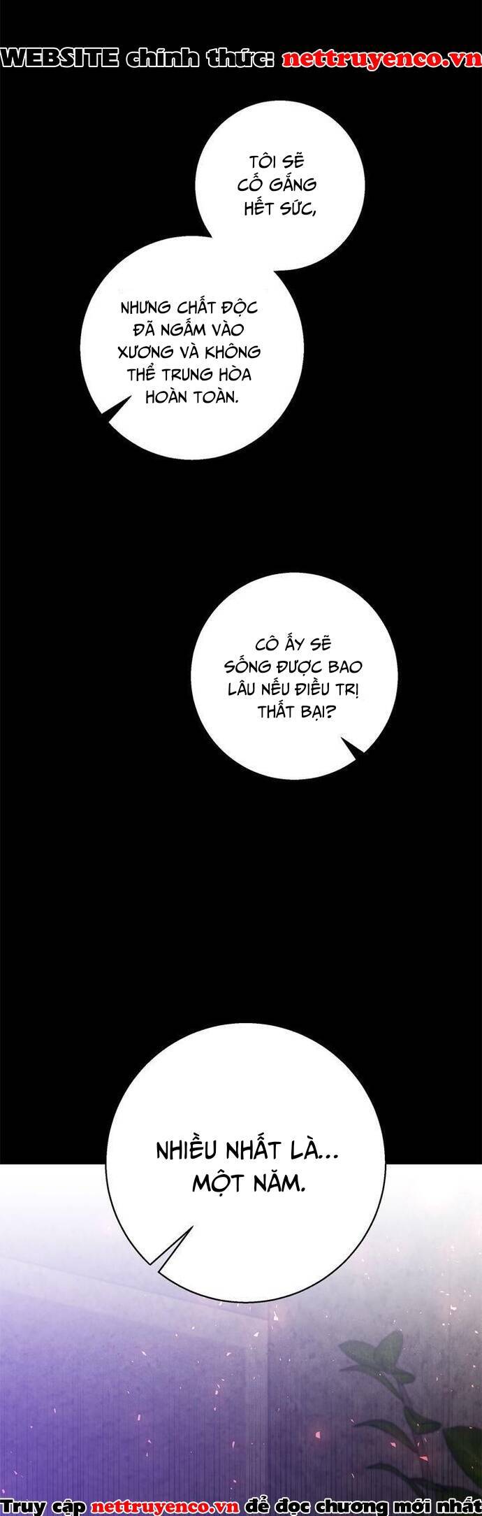 Đeo Bám Tôi Cũng Vô Ích Thôi Chap 68 - Next Chap 69