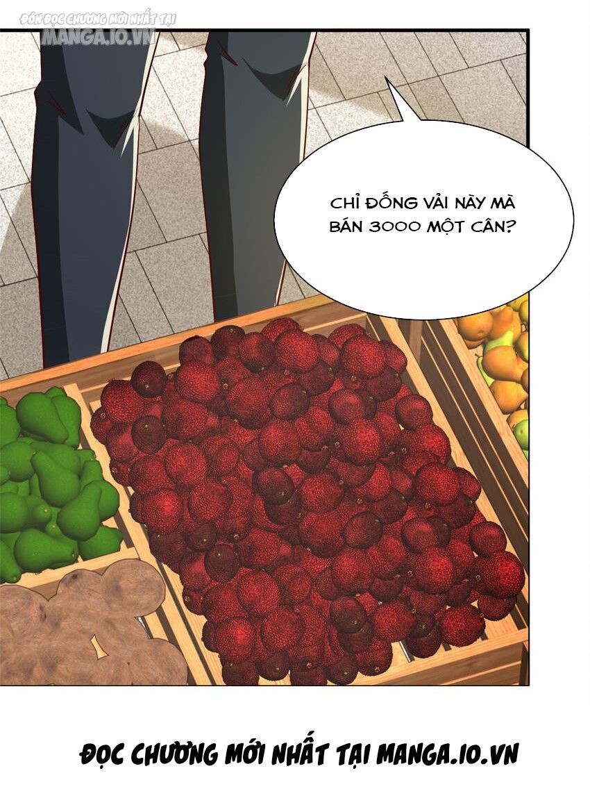 Mỗi Tuần Ta Có Một Nghề Nghiệp Mới Chap 534 - Next Chap 535