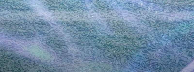 Những Ranker Cấp S Mà Tôi Nuôi Dưỡng Chap 146 - Next Chap 147