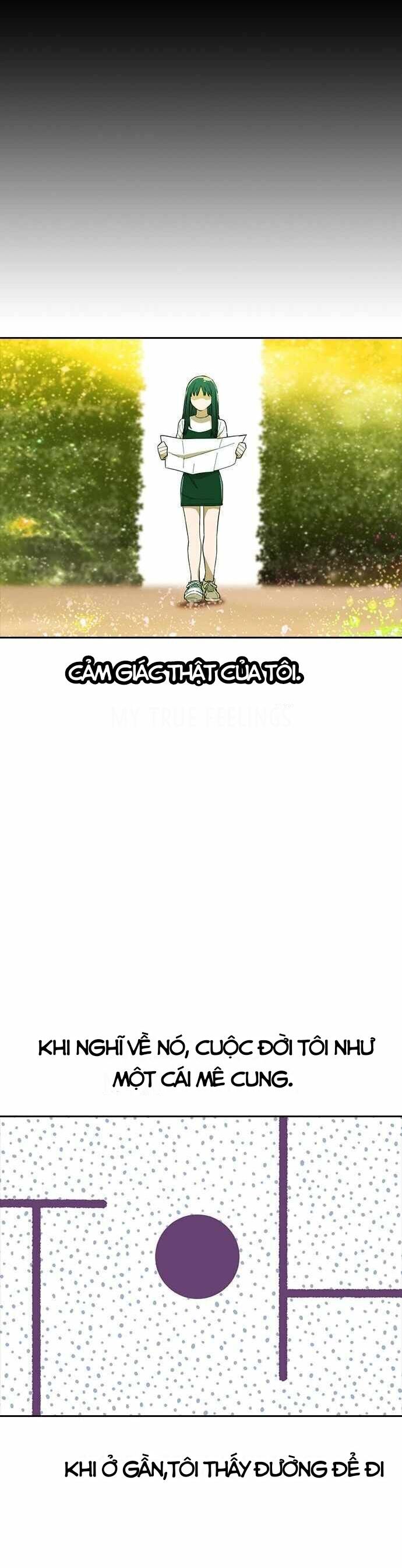 Cô Gái Từ Ứng Dụng Nhắn Tin Ngẫu Nhiên Chap 246 - Next Chap 247