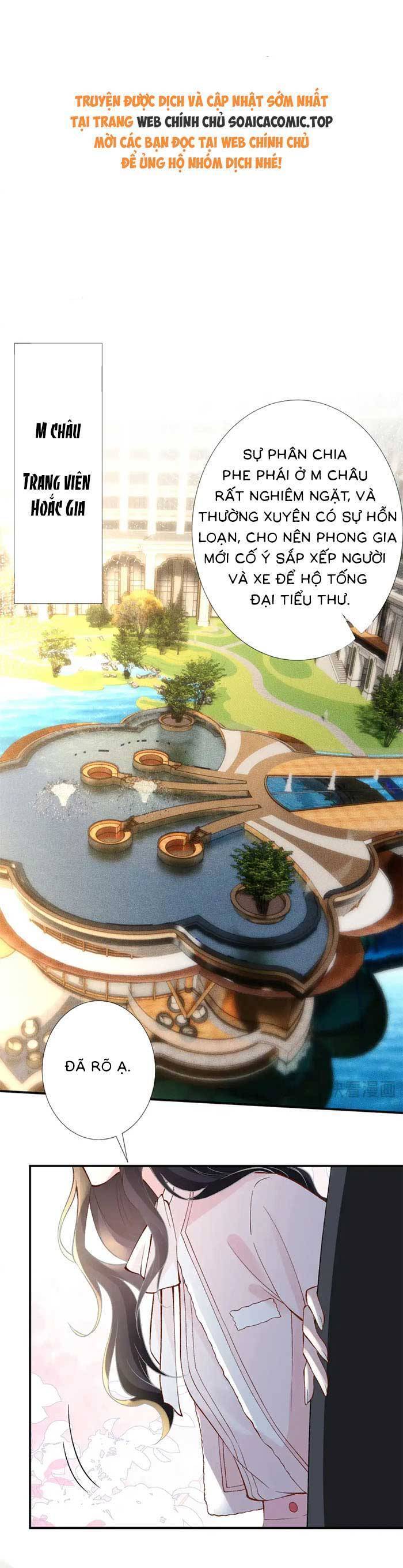 Ôm Khẩn Tiểu Mã Giáp Của Tôi Chap 315 - Next Chap 316