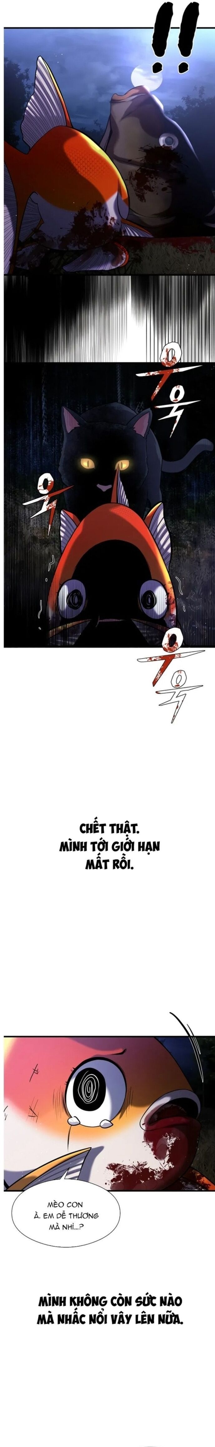 Hoá Thân Thành Cá Chap 26 - Next Chap 27