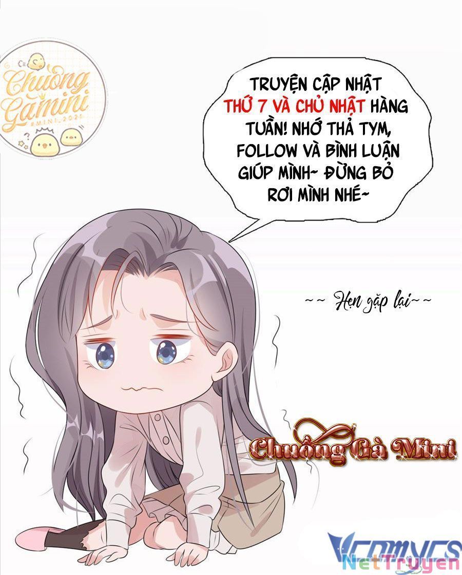 Cố Tổng, Vợ Của Ngài Quá Mạnh Rồi! Chap 100 - Next Chap 101