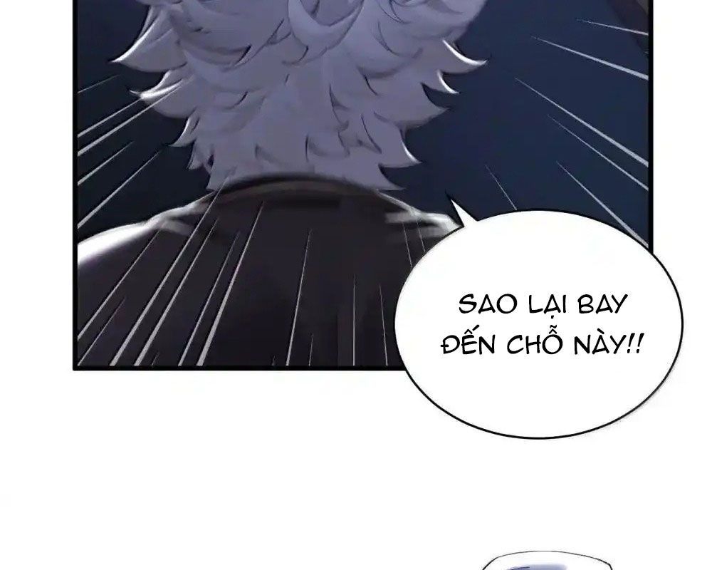 Thánh Nữ, Xin Hãy Dừng Ngay Những Trò Quái Đản Của Cô Đi!! Chap 113 - Next Chap 114