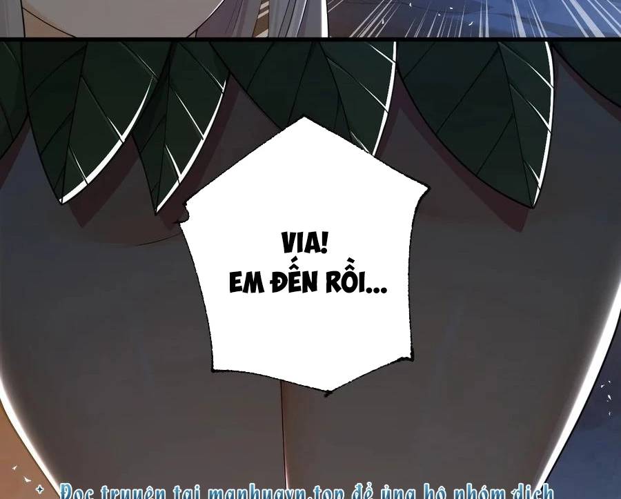 Thánh Nữ, Xin Hãy Dừng Ngay Những Trò Quái Đản Của Cô Đi!! Chap 82 - Next Chap 83