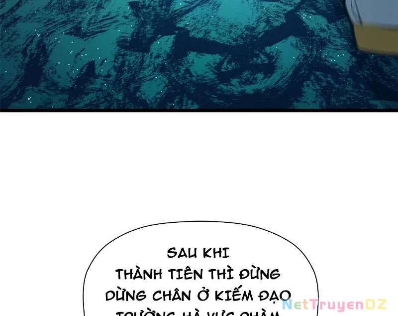 Đỉnh Cấp Khí Vận, Lặng Lẽ Tu Luyện Ngàn Năm Chap 196 - Next Chap 197