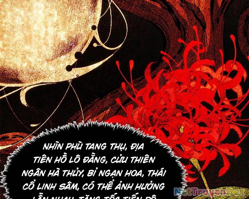 Đỉnh Cấp Khí Vận, Lặng Lẽ Tu Luyện Ngàn Năm Chap 199 - Next Chap 200
