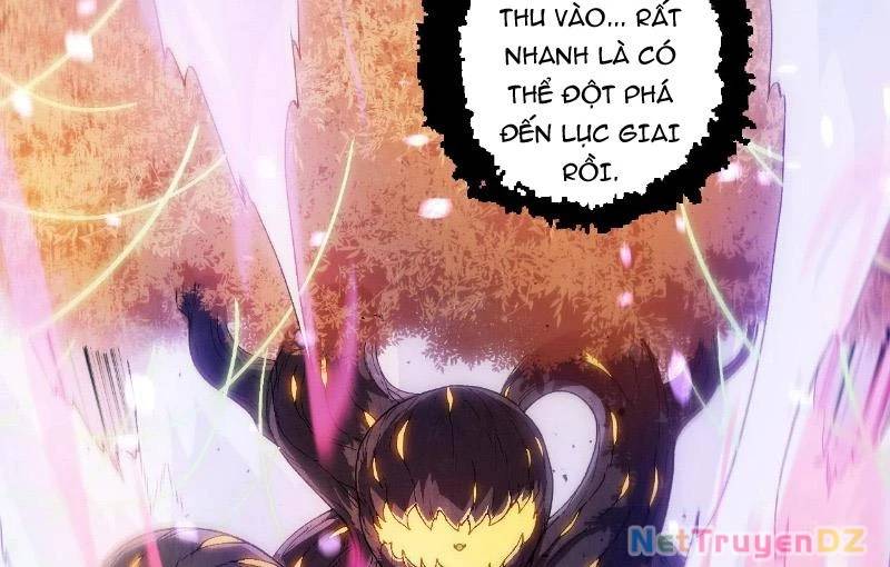 Chuyển Sinh Thành Liễu Đột Biến Chap 312 - Next Chap 313