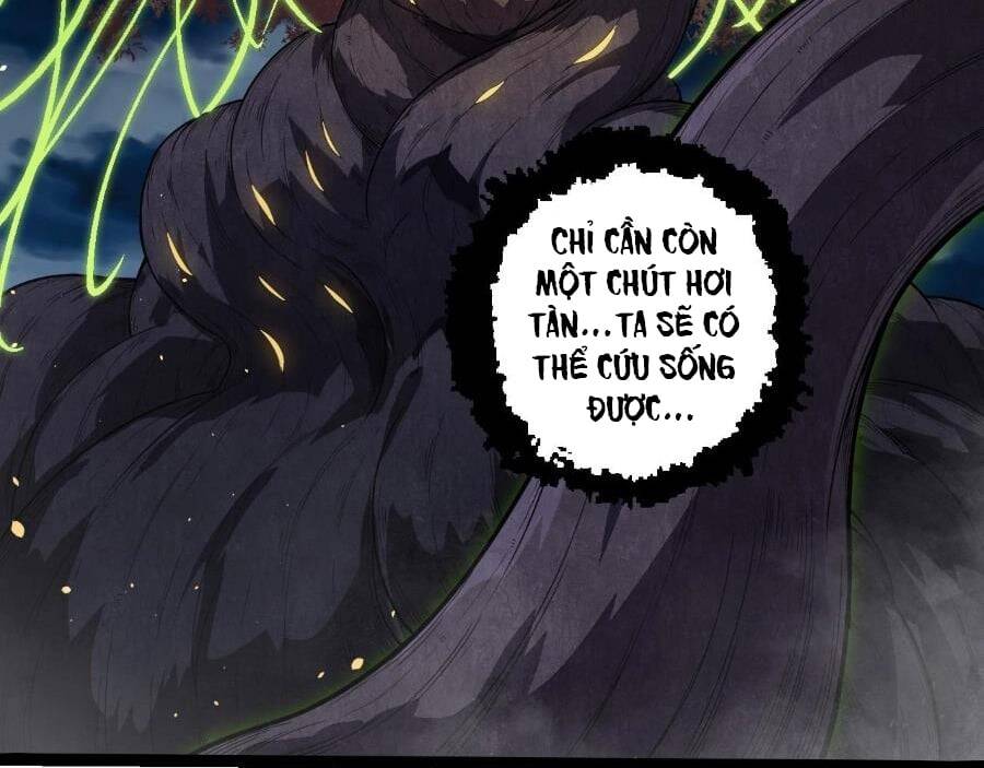 Zingnize Chap 49 - Next Chap 50