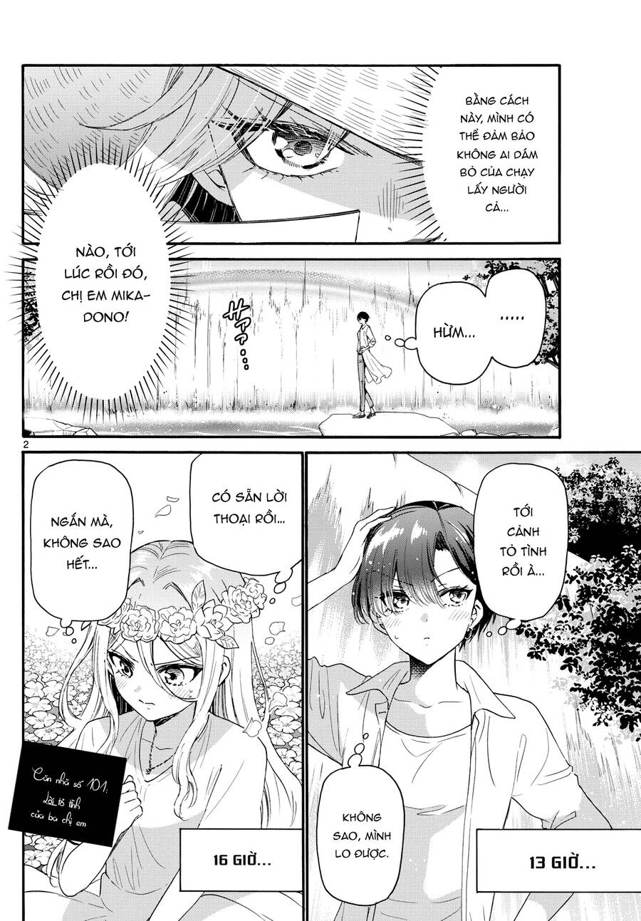Ba Chị Em Nhà Mikadono Dễ Đối Phó Thật Đấy Chap 101 - Next Chap 102
