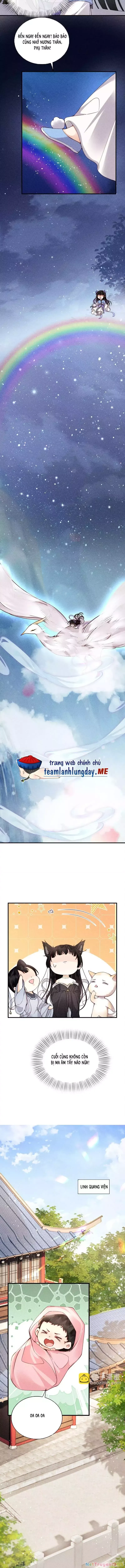 Phu Quân Giữ Thê Chap 67 - Next Chap 68