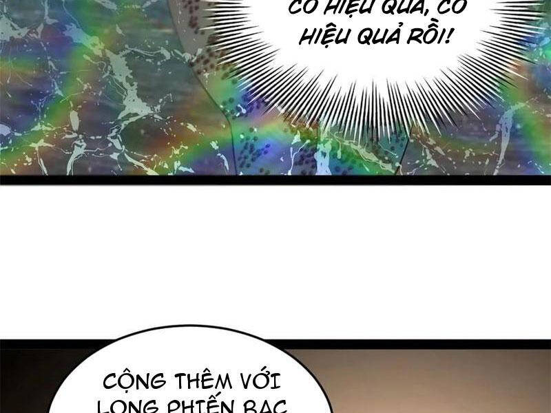 Chàng Rể Mạnh Nhất Lịch Sử Chap 216 - Next Chap 217