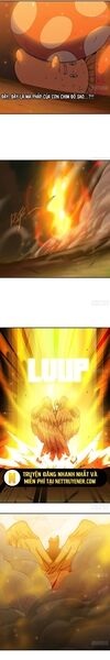 Dũng Sĩ Nấm Chap 21 - Next Chap 22