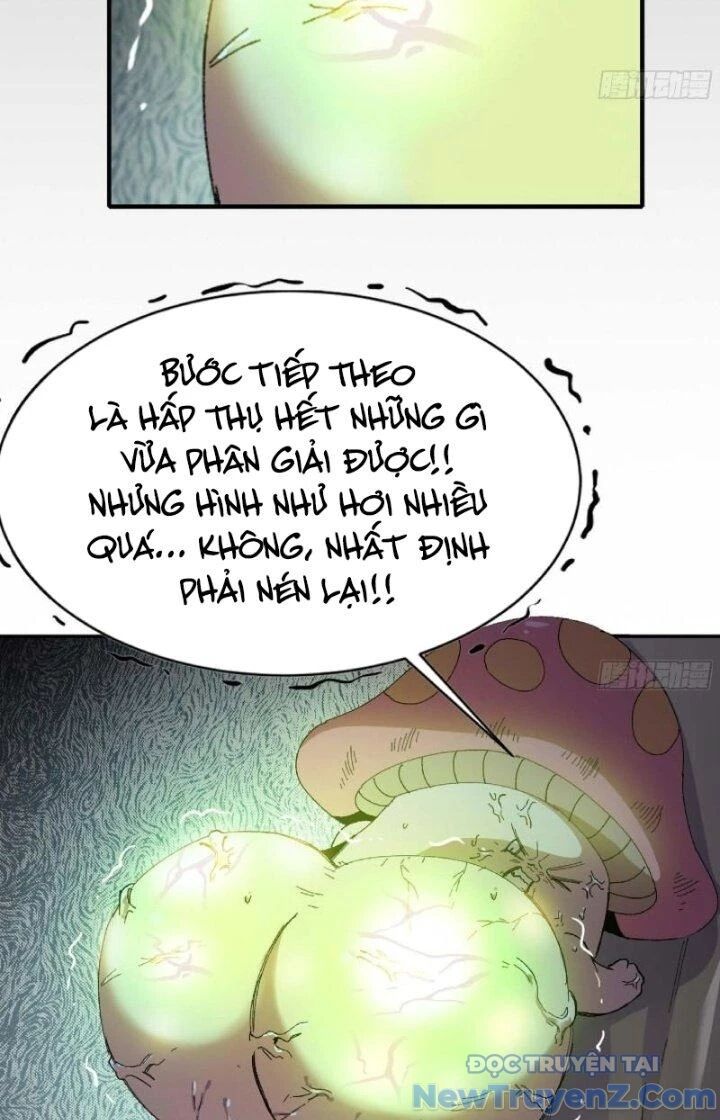 Dũng Sĩ Nấm Chap 52 - Next Chap 53