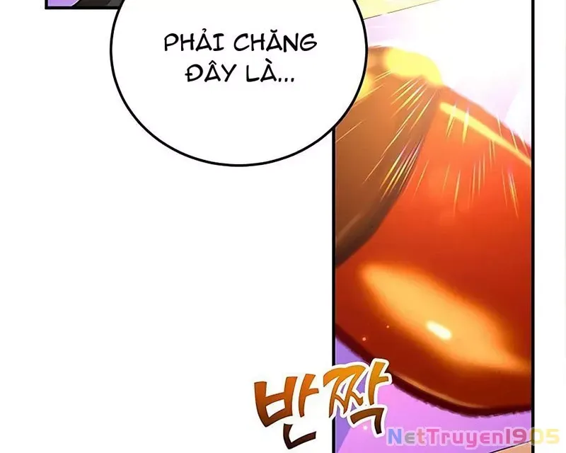 Tôi May Mắn Triệu Hồi Được Tinh Linh Hộ Vệ Hạng 10 Chap 15 - Next Chap 16