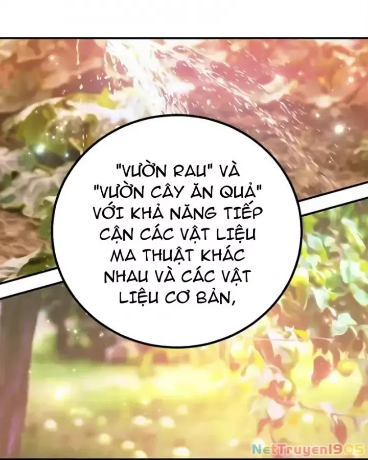 Tôi May Mắn Triệu Hồi Được Tinh Linh Hộ Vệ Hạng 10 Chap 25 - Next Chap 26