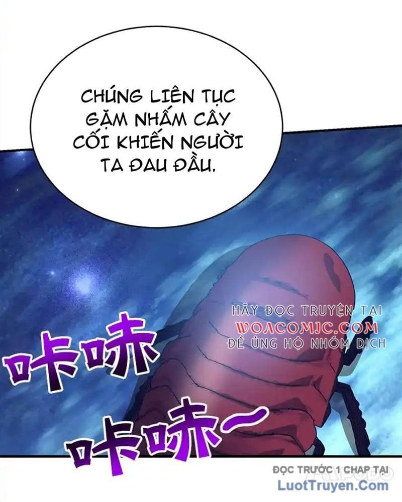 Tôi May Mắn Triệu Hồi Được Tinh Linh Hộ Vệ Hạng 10 Chap 36 - Next Chap 37