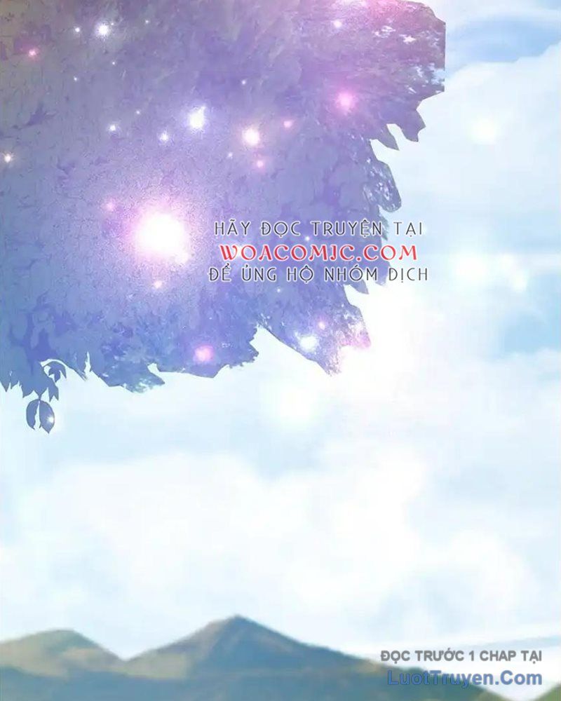 Tôi May Mắn Triệu Hồi Được Tinh Linh Hộ Vệ Hạng 10 Chap 37 - Next Chap 38