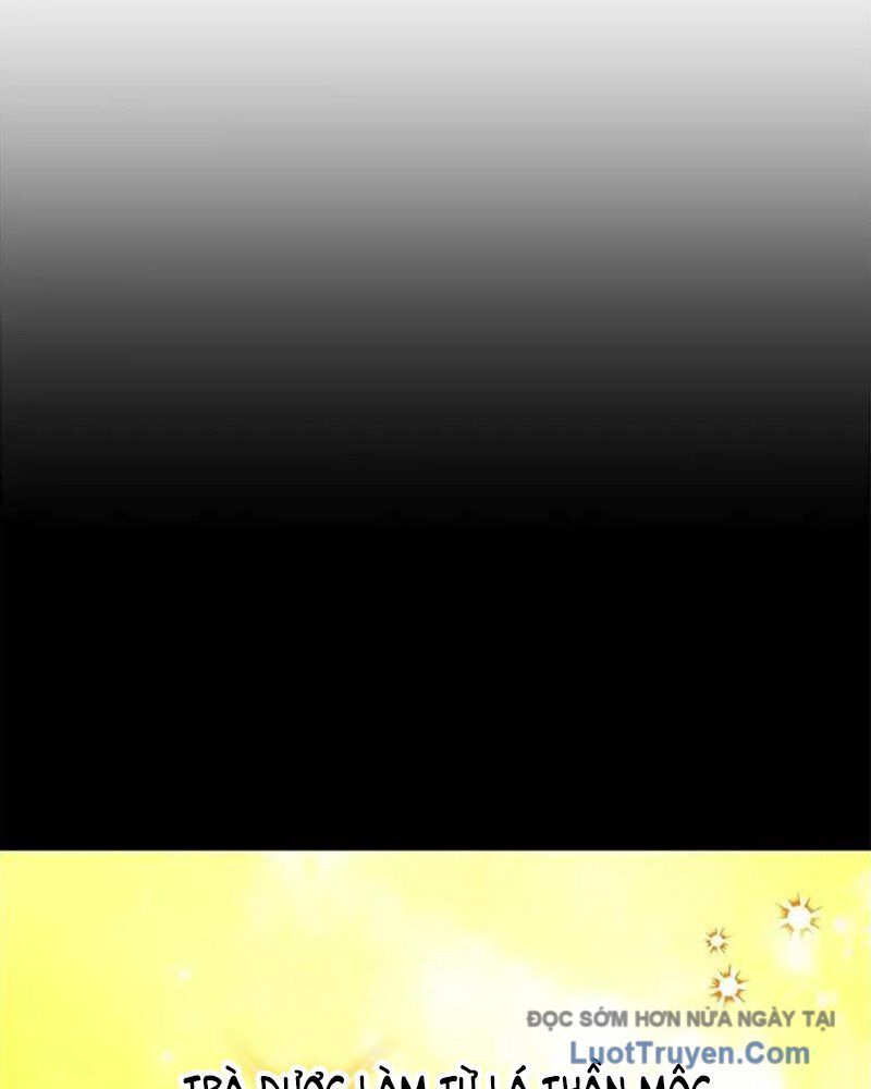 Tôi May Mắn Triệu Hồi Được Tinh Linh Hộ Vệ Hạng 10 Chap 38 - Next Chap 39