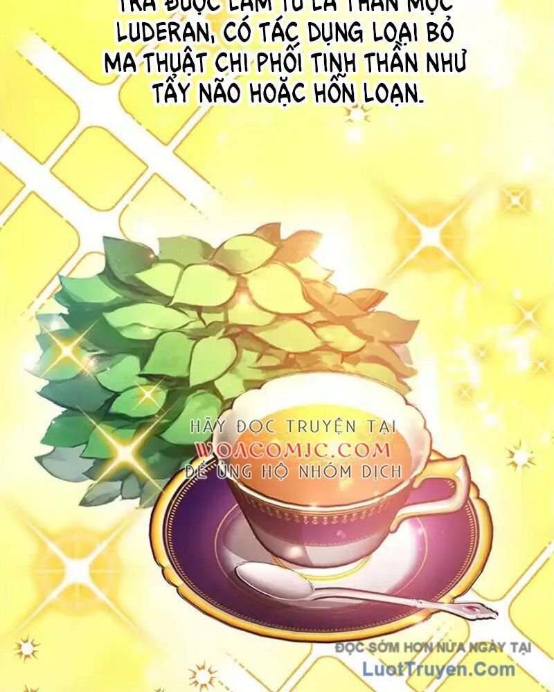 Tôi May Mắn Triệu Hồi Được Tinh Linh Hộ Vệ Hạng 10 Chap 38 - Next Chap 39