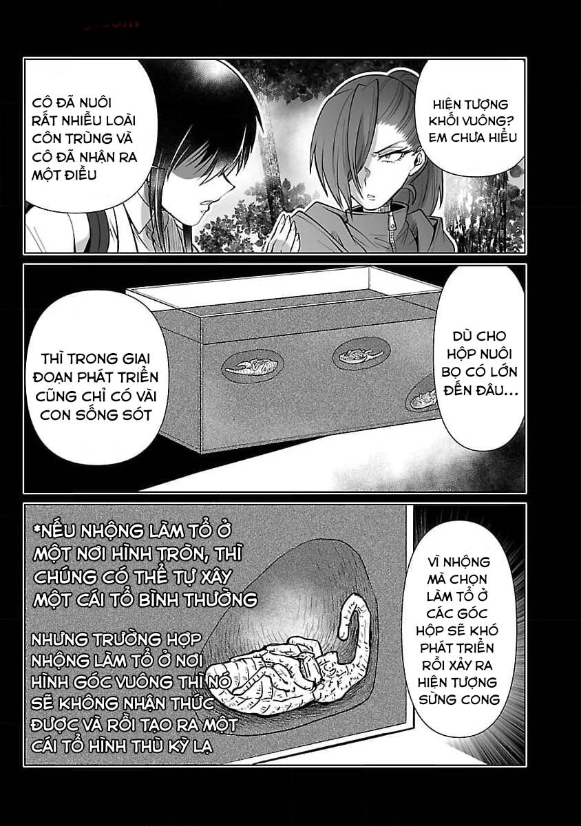 Dãy Núi Côn Trùng Chap 53 - Next Chap 54