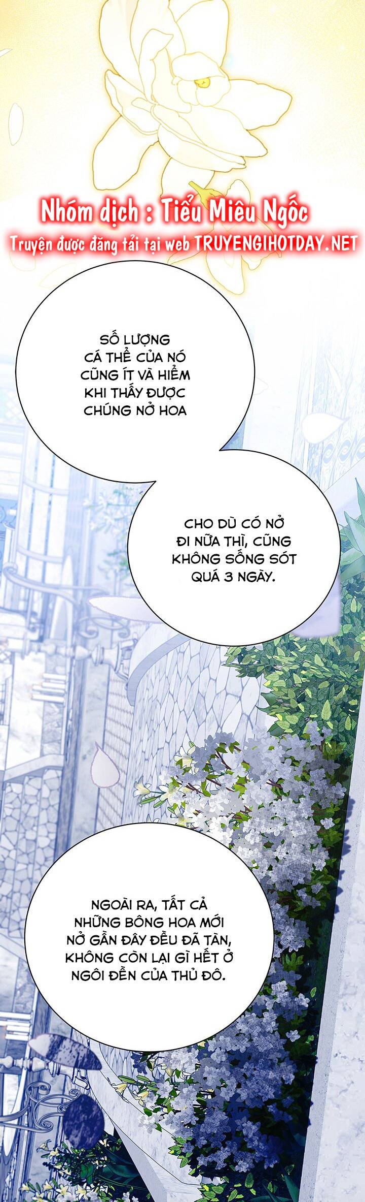 Tôi Sẽ Không Hối Tiếc Vì Anh Đâu Chap 122 - Next Chap 123