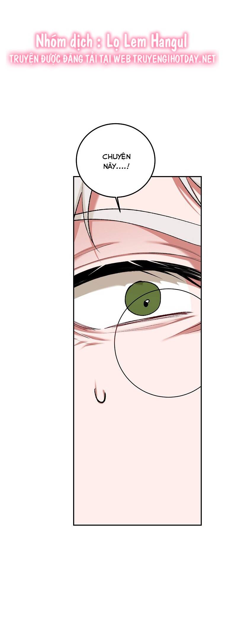 Quãng Đời Còn Lại Của Nữ Phụ Yểu Mệnh Chap 66 - Next Chap 67