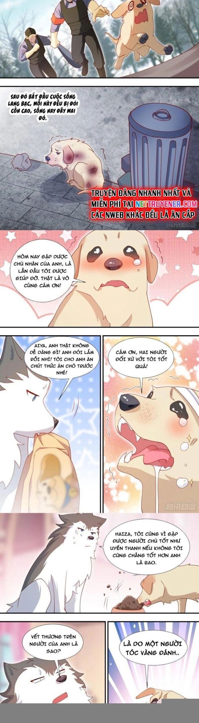 Trọng Sinh Thành Chó Của Nữ Thần Chap 127 - Next Chap 128