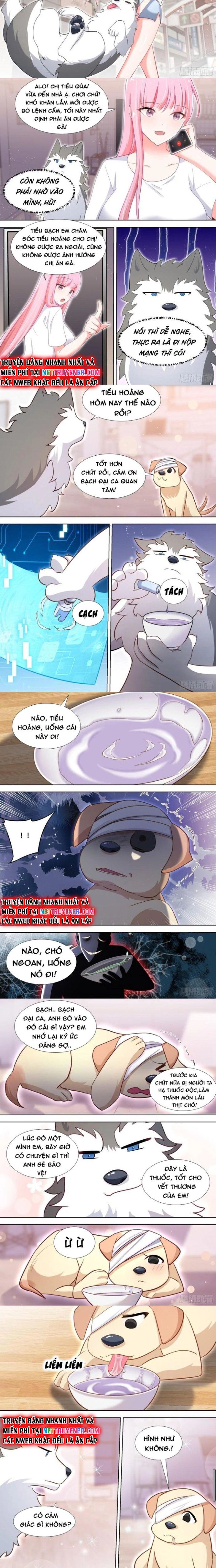 Trọng Sinh Thành Chó Của Nữ Thần Chap 139 - Next Chap 140