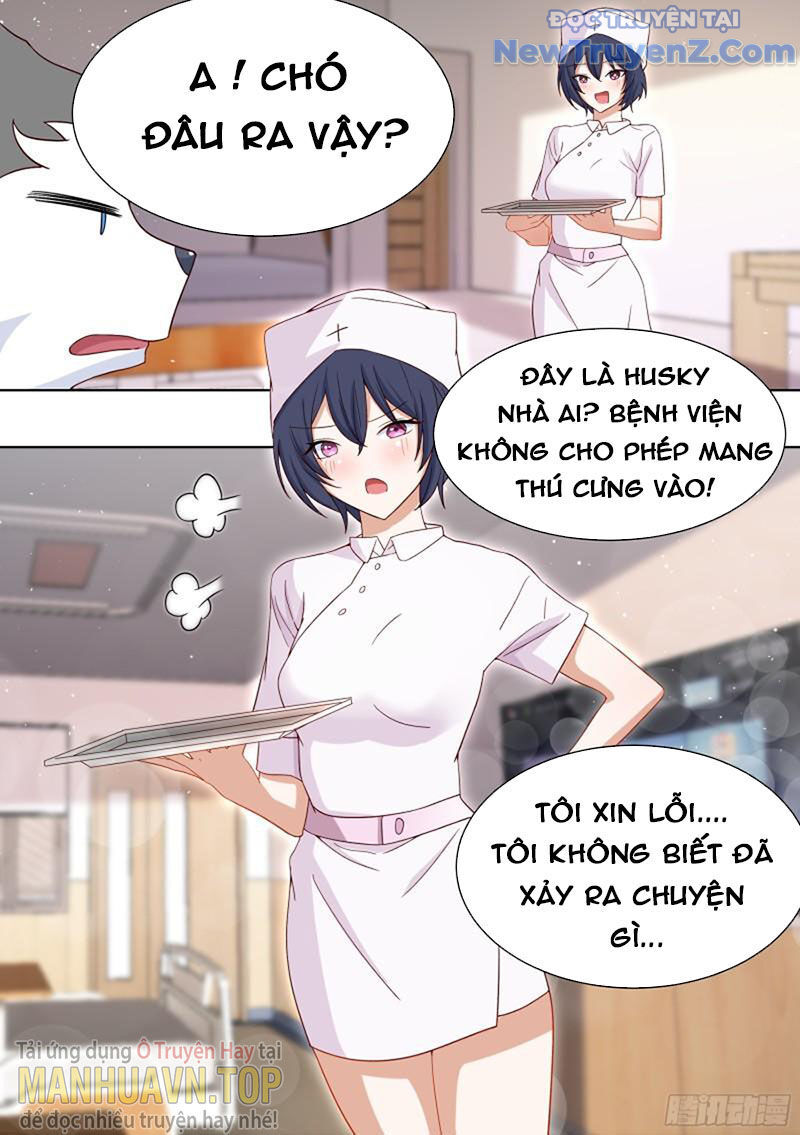 Trọng Sinh Thành Chó Của Nữ Thần Chap 196 - Next Chap 197