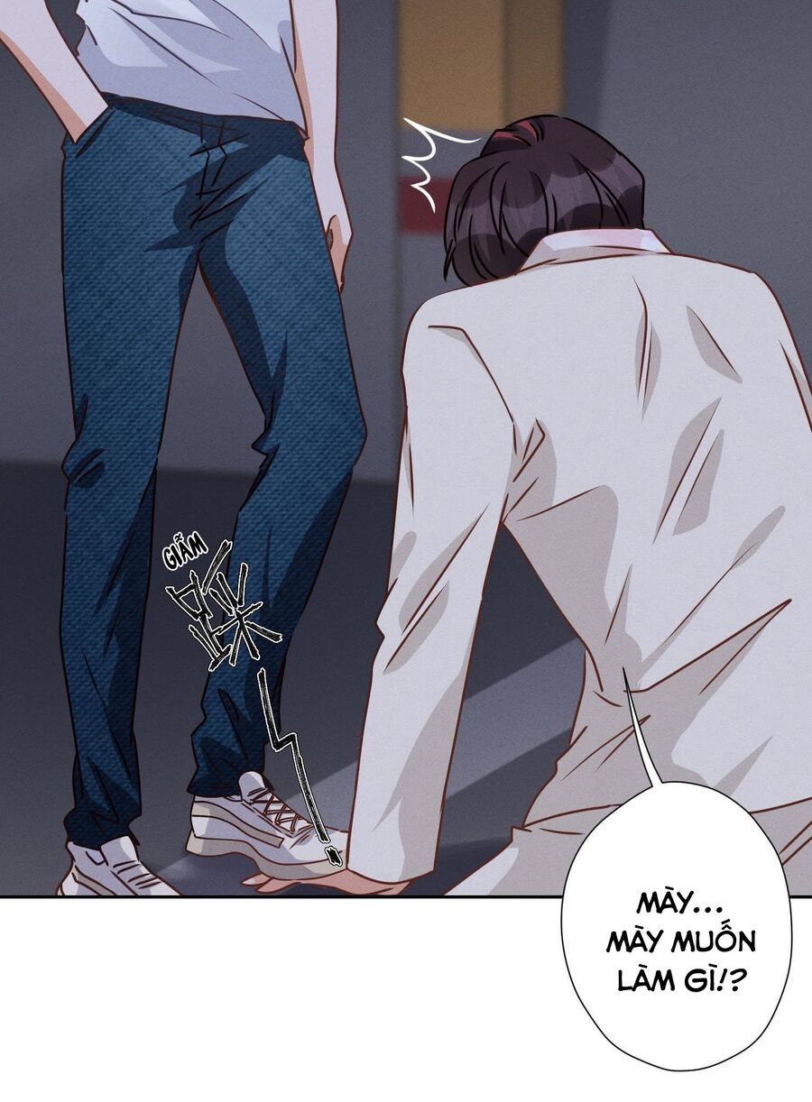 Long Vương Điện: Người Ở Rể Giàu Nhất Chap 29 - Next Chap 30